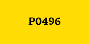 código P0496